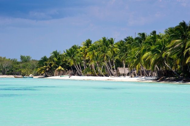 tropisch strand