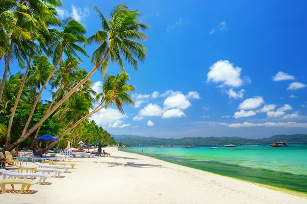 Tropisch strandlandschap met kokospalmen en turkooise overzees. Boracay-eiland, Filippijnen