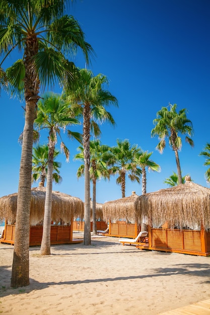 Tropisch uitzicht met strandbungalows en palmbomen op het strand van een Turks resort