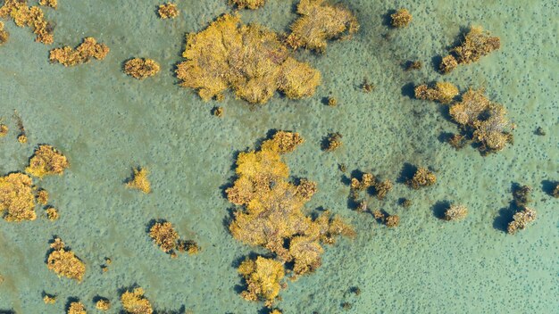 Foto tropische aerial van eiland in zee vakantie concept