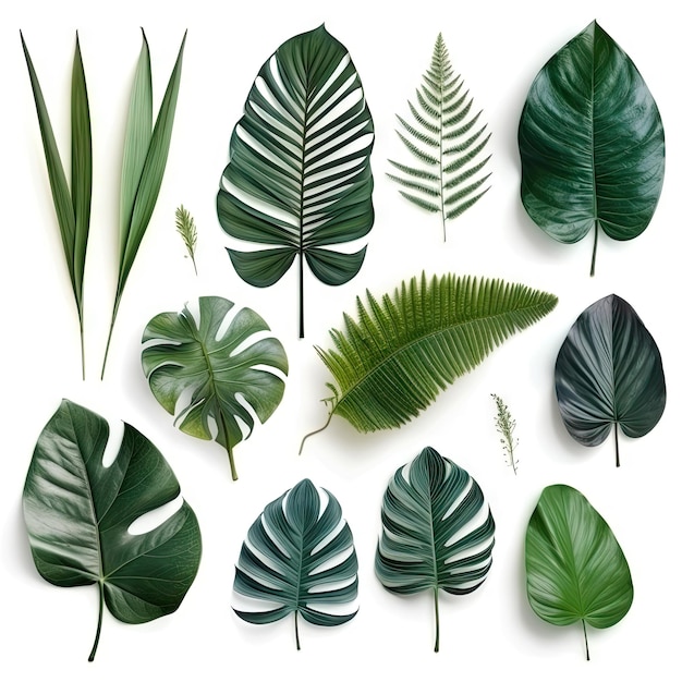 Tropische bladeren collectie groene bladeren