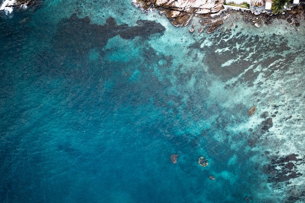 Tropische blauwe oceaanvorm hierboven