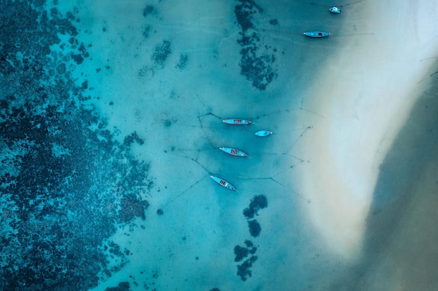 Tropische blauwe oceaanvorm hierboven