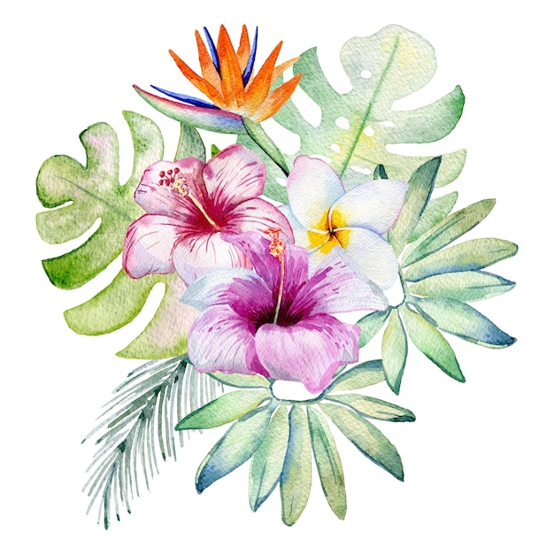 Tropische bloemen aquarel illustratie