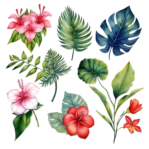 Tropische bloemen en bladeren zomer set grote hand getekende aquarel set