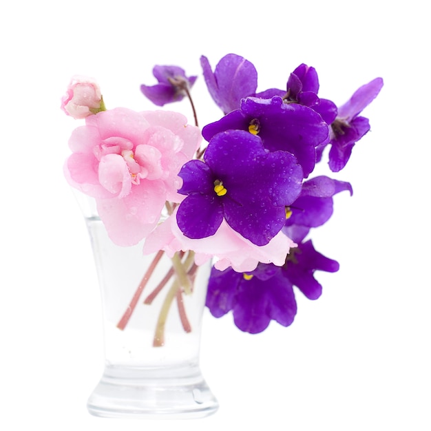 Tropische bloemen in geïsoleerde vaas