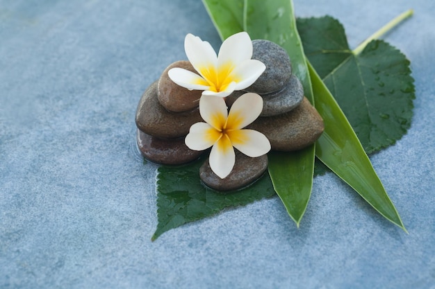 Tropische bloemen op stenen op bladeren voor een ontspannende massageruimte