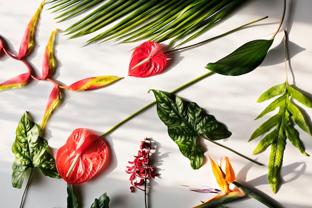 Foto tropische bloemen op witte achtergrond