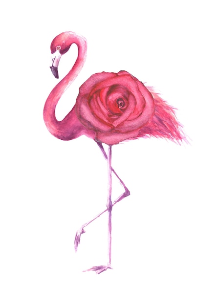 Foto tropische exotische vogel roze flamingo met roze roos geïsoleerd op een witte achtergrond. aquarel hand getekende natuurlijke botanische klassieke illustratie voor huwelijksuitnodigingen, wenskaarten.