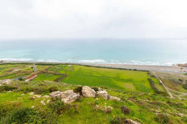 Tropische kust, strand