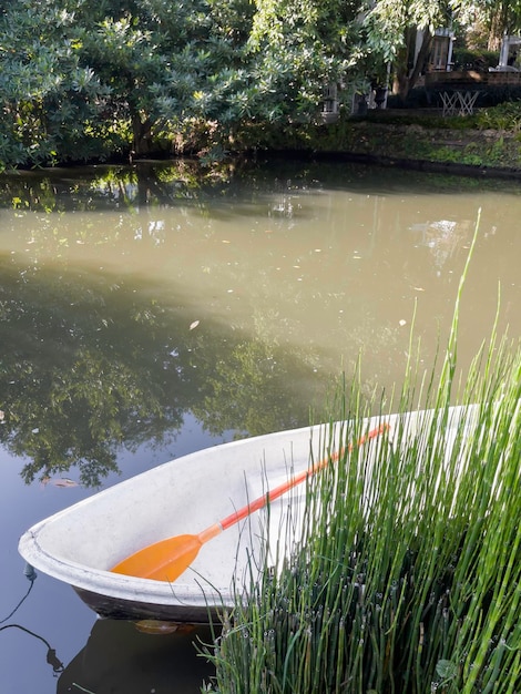 Tropische landschapsarchitectuur in eigen tuin