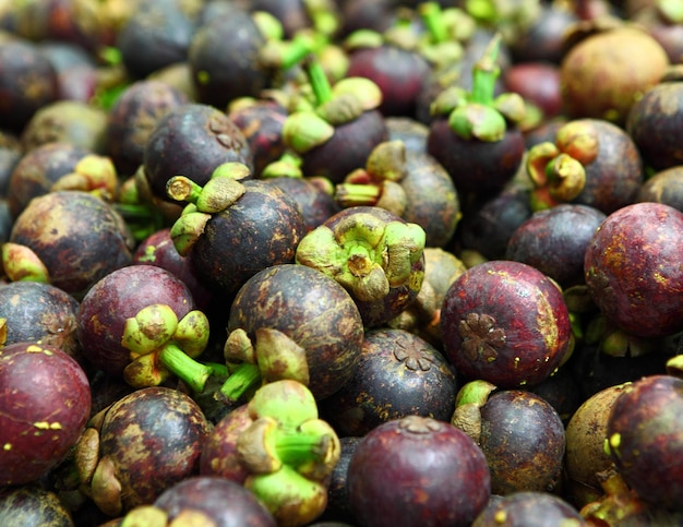 Tropische mangosteen