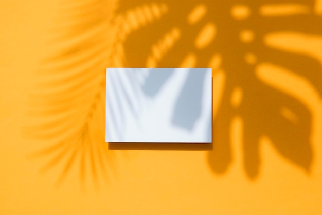 Tropische monstera palmbladschaduw op een wit kaartframe Oranje zomerposter