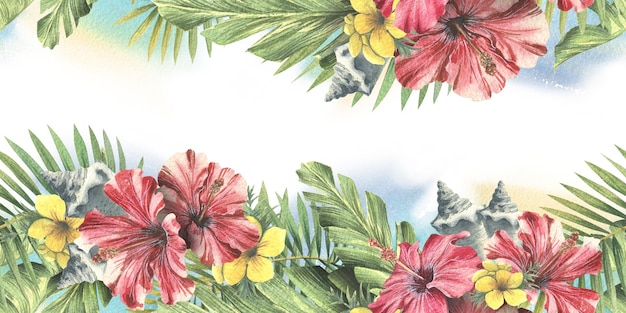 Tropische palmbladeren met rode hibiscusbloemen en schelpen Aquarel illustratie Naadloze rand uit de CUBA-collectie Voor het ontwerpen en ontwerpen van uitnodigingen ansichtkaarten stickers websites
