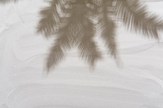 Tropische palmboom laat schaduwen achter op het goudwitte zand