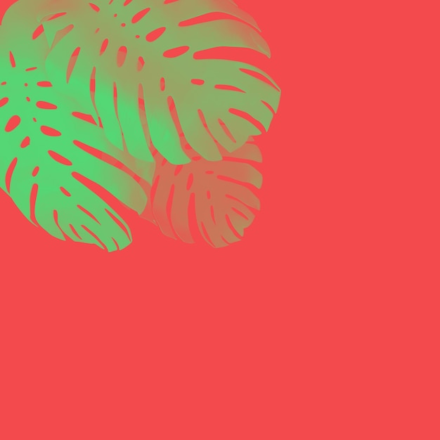 Tropische palmboom monstera blad achtergrond Abstract kleurrijk ontwerp