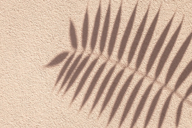 Tropische palmtak met schaduw op een beige grunge cement muur bruin crème klei natuurlijke textuur abstracte achtergrond kopie ruimte zomer behang minimaal concept sjabloon met schoonheid decor strand