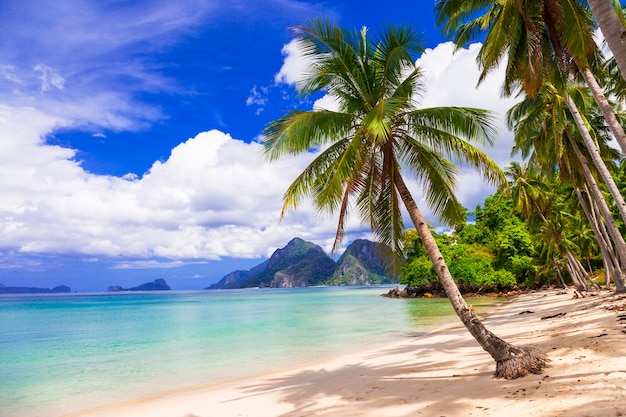 Tropische paradijsaard en exotische wilde schoonheid van het eiland Palawan Magical El Nido Philippiness