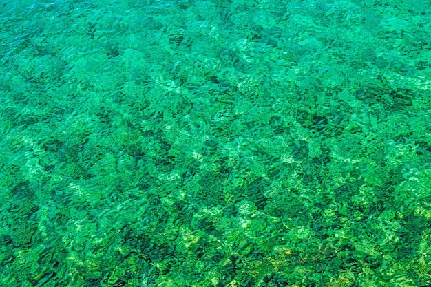 Tropische turquoise kristal schone baai water tropisch thema achtergrond varen en vissen achtergrond