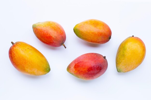 Tropische vrucht Mango op witte achtergrond