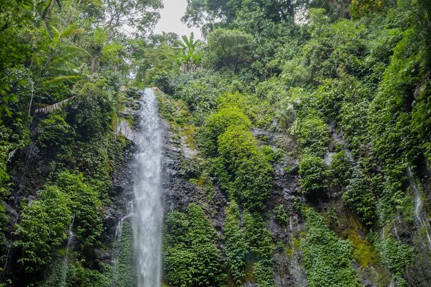 Tropische waterdaling op Semarang Midden-Java met groen blad en bemost