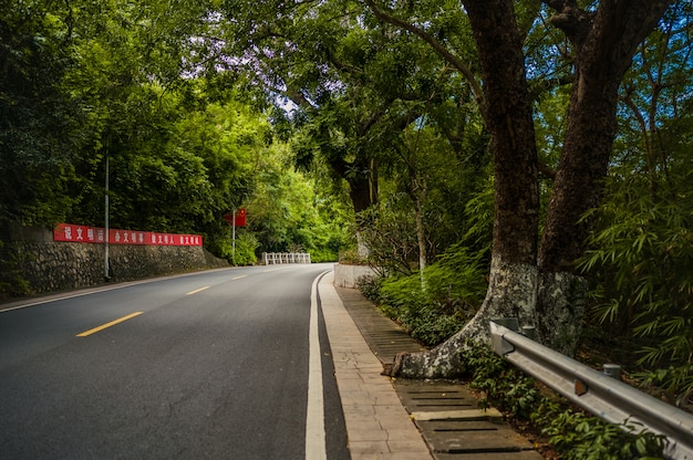 Tropische wegweg met Chinese vlag