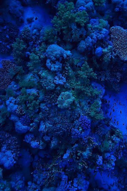 tropische zee onderwater achtergrond duiken oceaan