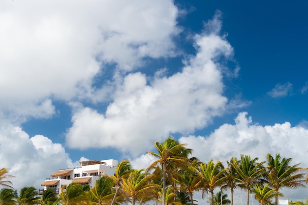 Tropische zomervakantie in het paradijs met villa tropische zomervakantie met palmbomen foto van tropische zomervakantie tropische zomervakantie