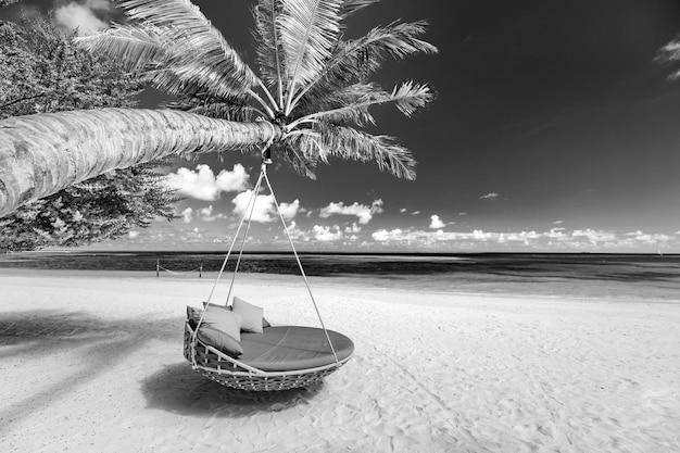 Foto tropische zwart-witte strandachtergrond. dramatische palmboom schommel wit zand. donkere kust kunst