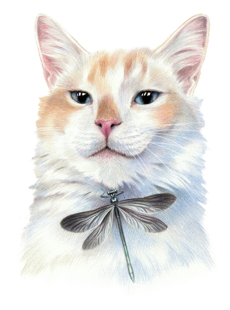 Trotse kat met libel. Kleurenschets van het gezicht van een kat. Geïsoleerd op witte achtergrond. Potloodtekening kunstwerk