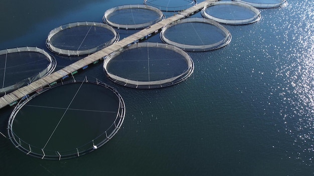 Trout fish farm in the river aerial view