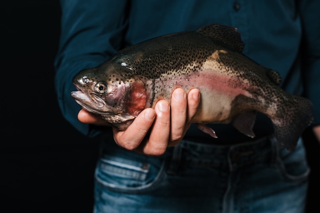 Trout in men hands close-up