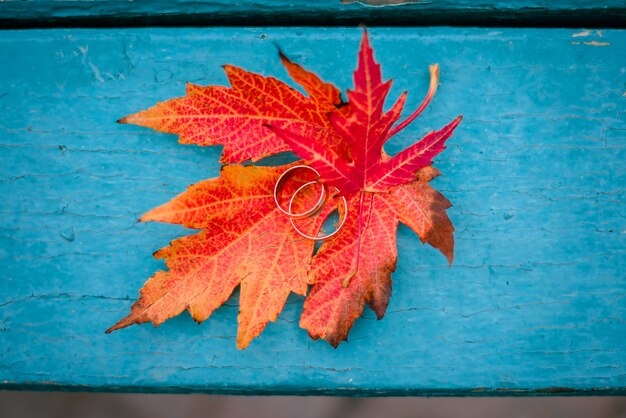 Trouwringen op oranje de herfstbladeren op turkooise houten lijst