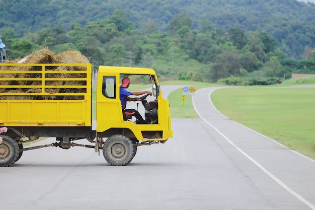 Camion che trasporta il carico di balle di fieno. scena agricola nella campagna dell'entroterra