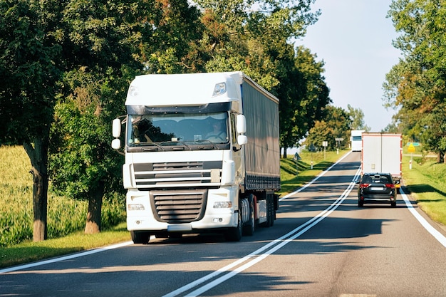 Foto camion sulla strada della polonia. trasporto di camion che consegna un carico di merci.