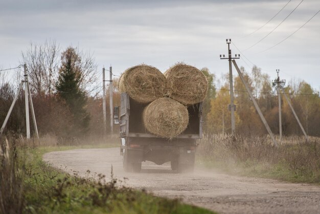 A truck with haystacks is driving along the road in the village. Back view. Harvest time. Farm, Feed