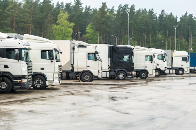 Trucks in a row with containers in the parking lot near forest Logistic and Transport concept