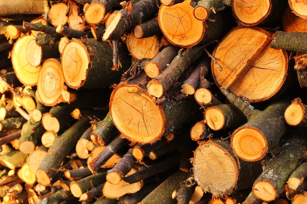 Trunks of branches for firewood