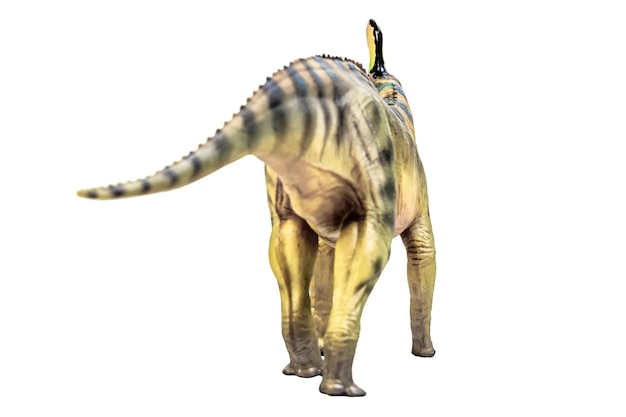 Tsintaosaurus Spinorhinus dinosaurus op witte isoleren achtergrond uitknippad