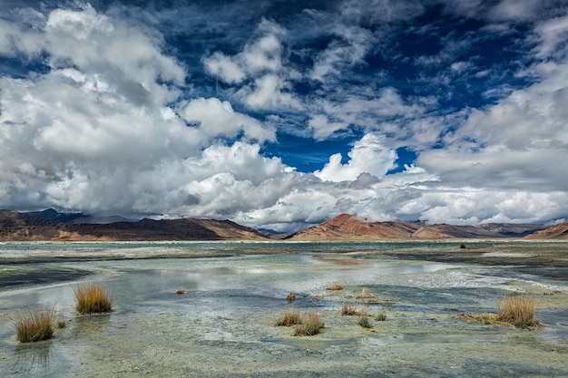 Tso Kar fluctuating salt lake in Himalayas Rapshu Ladakh Jammu and Kashmir India