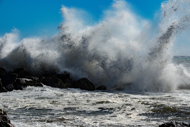 Tsunami tropical hurricane on the sea