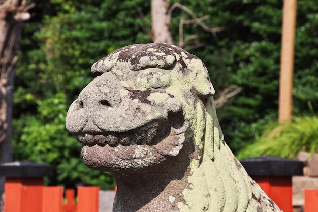 Tsurugaoka Hachimangu Shrine Kamakura Japan