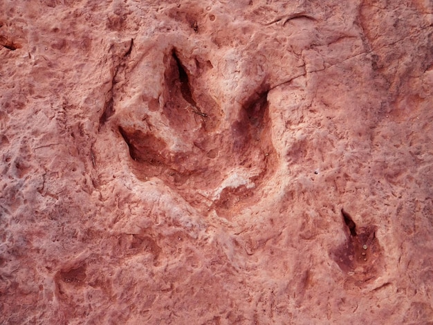 Tuba City Dinosaur Tracks, single