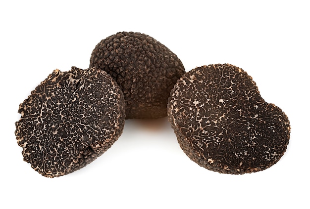 Tuber melanosporum or black truffles isolated