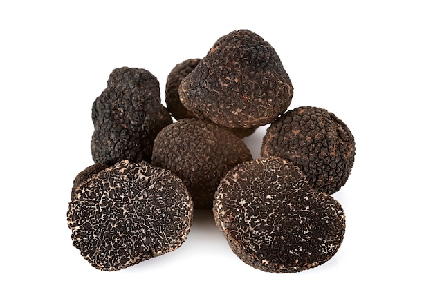 Tuber melanosporum 