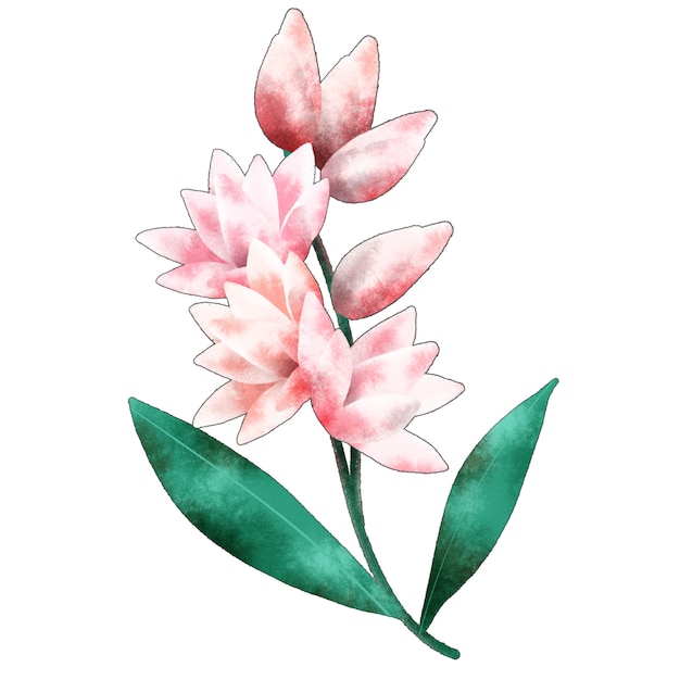 Tuberose flower branch