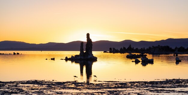 Tufa towers rock formation in mono lake sunny sunrise