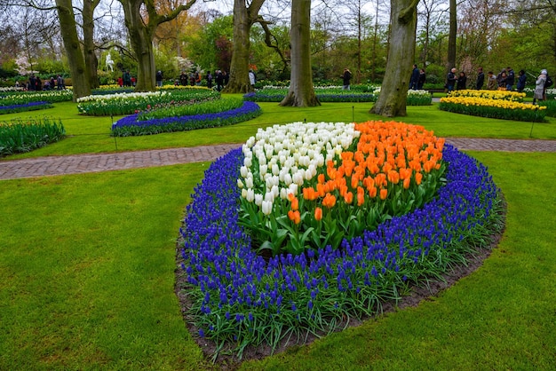 Tuilps en andere bloemen in Keukenhof park Lisse Holland Nederland