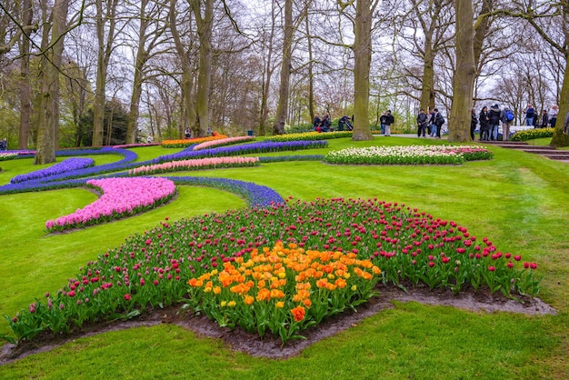 Tuilps en andere bloemen in keukenhof park lisse holland nederland