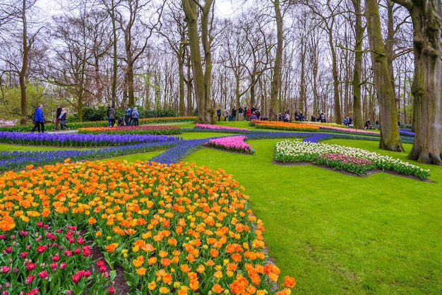 Keukenhof 공원 Lisse Holland 네덜란드의 Tuilps 및 기타 꽃